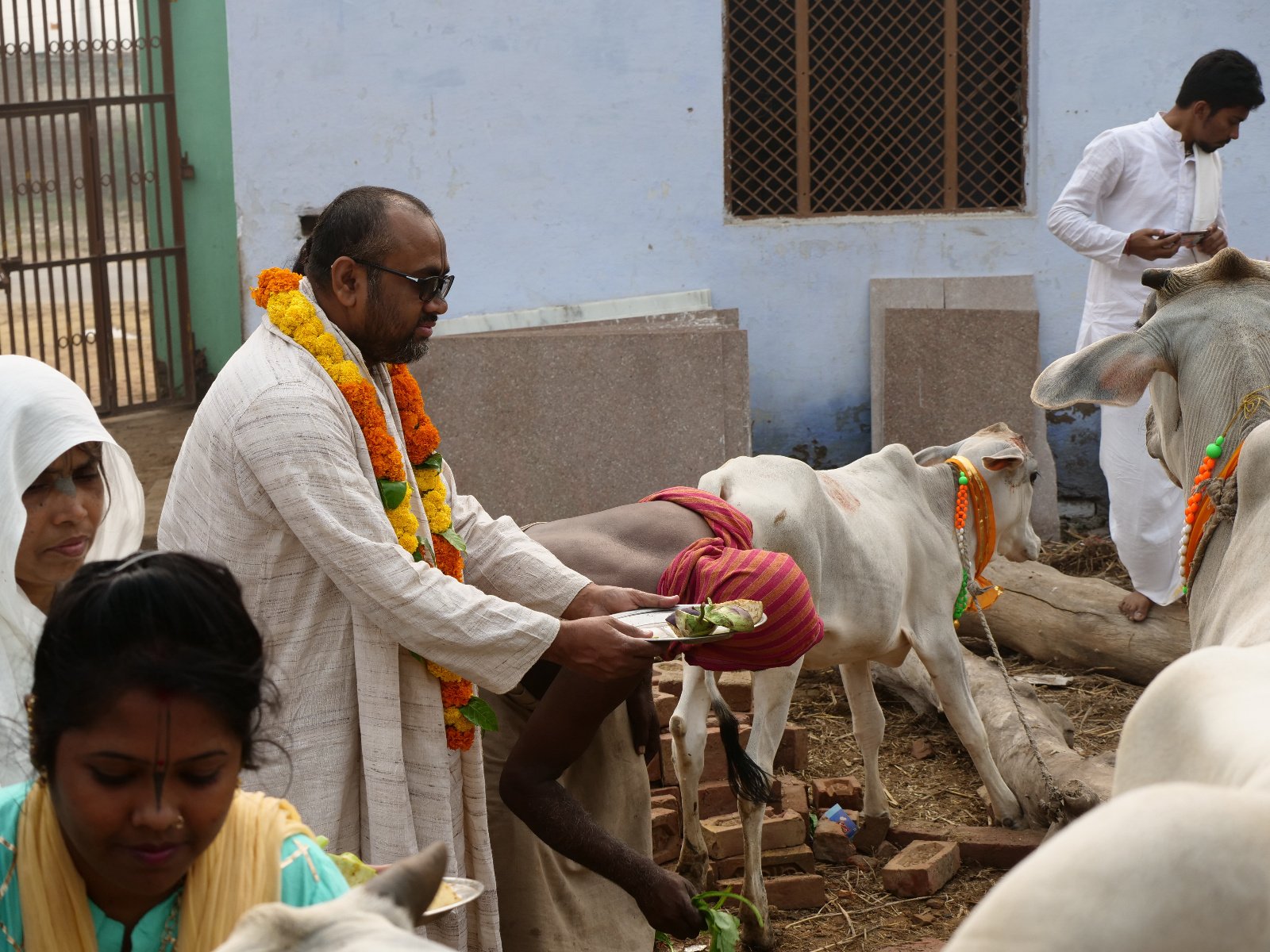  124 Gopashtami Radha kunda Govardhan 19.11.04